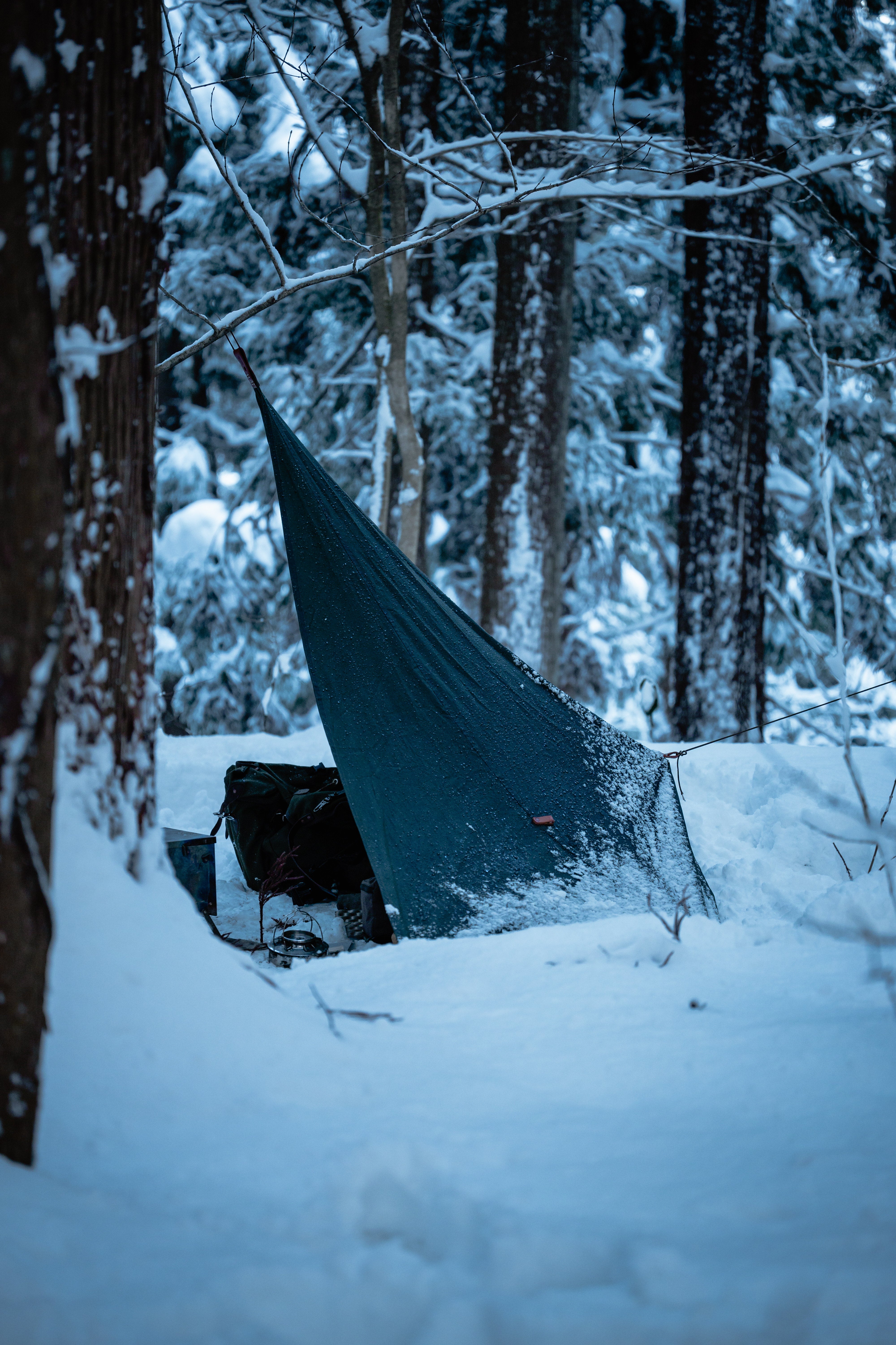 4 panel LAVVU, waxed canvas & leather tent tipi tarp – Thornhill